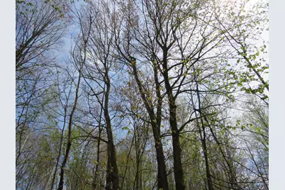 N Chippewa Road, Mount Pleasant, MI 48858 - Photo 12