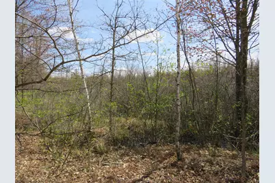 N Chippewa Road, Mount Pleasant, MI 48858 - Photo 6