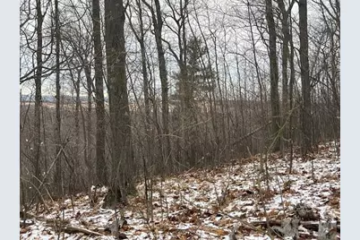 Lot C Silver Vista, Mears, MI 49436 - Photo 26