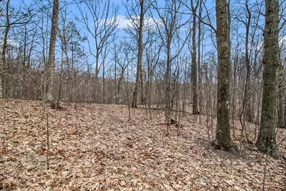 Lot C Silver Vista, Mears, MI 49436 - Photo 12
