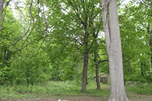 1225 102nd Ave, Plainwell, MI 49080 - Photo 36