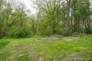 1702 N M 43 Hwy, Hastings, MI 49058 - Photo 40
