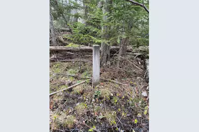 0 Parcel B US 131, Kalkaska, MI 49646 - Photo 10