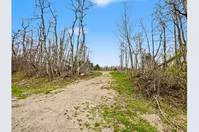 4056 N Ayr Road, Alanson, MI 49706 - Photo 4