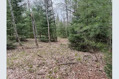 0 US 131, Kalkaska, MI 49646 - Photo 12
