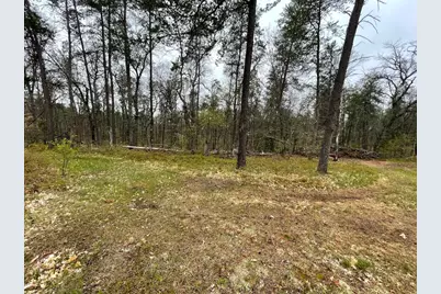 3490 W Stuck Road, Irons, MI 49644 - Photo 38