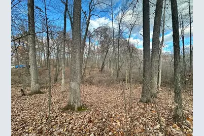 Oak Vacant Lots, Pinckney, MI 48169 - Photo 8