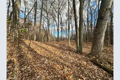 Oak Vacant Lots, Pinckney, MI 48169 - Photo 2