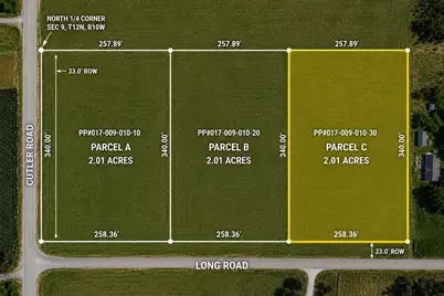 Long Road #V/L Parcel C, Howard City, MI 49329 - Photo 1