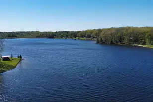 310 Morse Dr, Six Lakes, MI 48886 - Photo 2