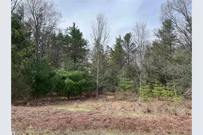 00 Mackinaw Trail, Leroy, MI 49655 - Photo 4