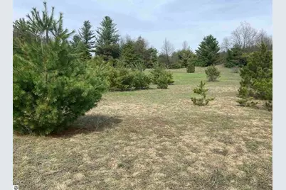 00 Mackinaw Trail, Leroy, MI 49655 - Photo 16