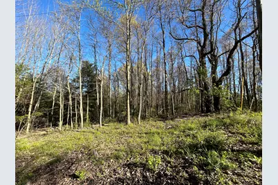 E 22 Mile Road, Sand Lake, MI 49343 - Photo 6