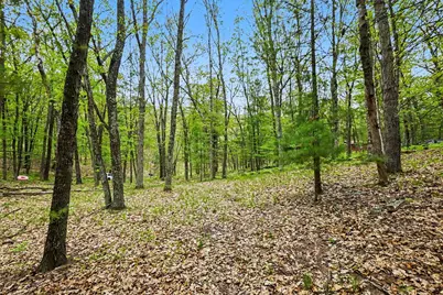 9075 S Larson Avenue, Baldwin, MI 49304 - Photo 8