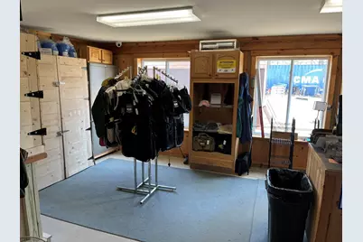 264 S 152nd Avenue #- Cabin and 60 Acres, Shelby, MI 49455 - Photo 6