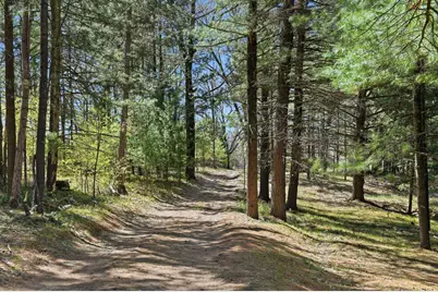 7492 E Townline Lake Road, Harrison, MI 48625 - Photo 30