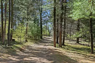 7492 E Townline Lake Rd, Harrison, MI 48625 - Photo 30