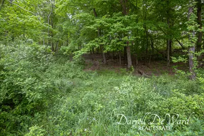 V/L North Ridge Court, Middleville, MI 49333 - Photo 8
