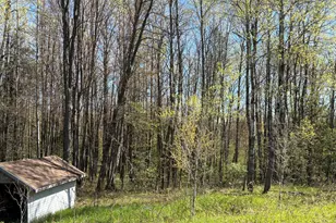11904 E 8th St, Reed City, MI 49677 - Photo 16
