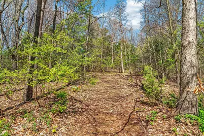 59282 County Road 653, Paw Paw, MI 49079 - Photo 52