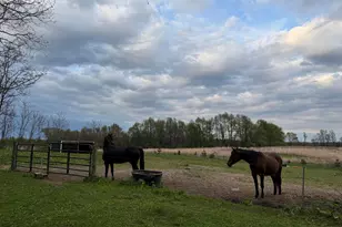 18300 14 Mile Rd, Battle Creek, MI 49014 - Photo 22