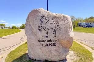 29376 Saddlebred Ln, Dowagiac, MI 49047 - Photo 16