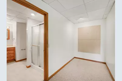 6540 Peckins Lane, Manchester, MI 48158 - Photo 24