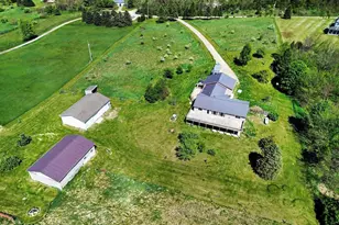 6540 Peckins Ln, Manchester, MI 48158 - Photo 2