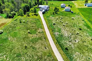 6540 Peckins Ln, Manchester, MI 48158 - Photo 44
