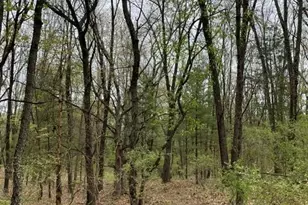 8250 Rum Creek Trail NE, Rockford, MI 49341 - Photo 112