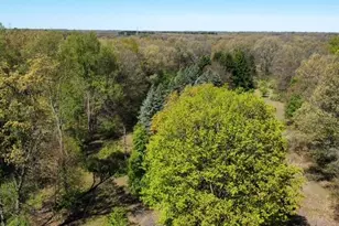 4115 S Van Kal St, Mattawan, MI 49071 - Photo 62