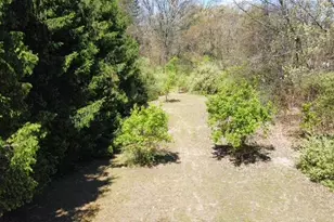 4115 S Van Kal St, Mattawan, MI 49071 - Photo 60