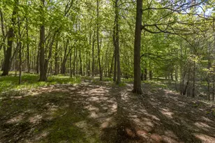 4115 S Van Kal St, Mattawan, MI 49071 - Photo 36