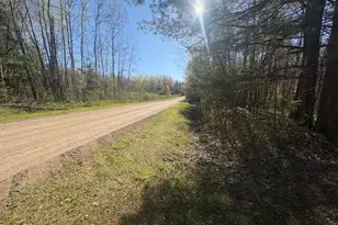2779 19 Mile Rd, Marion, MI 49665 - Photo 24