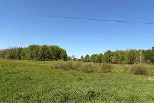 00000 40th St, Paw Paw, MI 49079 - Photo 1