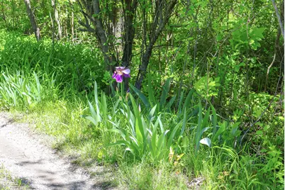 7133 US Highway 12, Three Oaks, MI 49128 - Photo 2