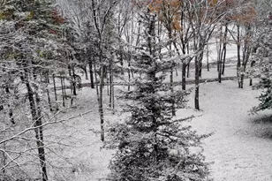 781 Hopkins Rd, Lyons, MI 48851 - Photo 94