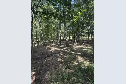 781 Hopkins Road, Lyons, MI 48851 - Photo 90