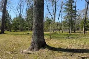 9227 S Star Lake Dr, Baldwin, MI 49304 - Photo 22