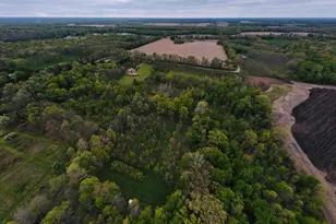 21165 O-Drive S, Homer, MI 49245 - Photo 16