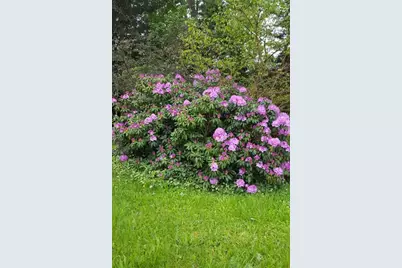 59021 County Road 215, Lawrence, MI 49064 - Photo 24