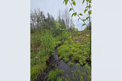 V/L M 115, Marion, MI 49665 - Photo 34