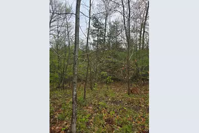 V/L M 115, Marion, MI 49665 - Photo 38