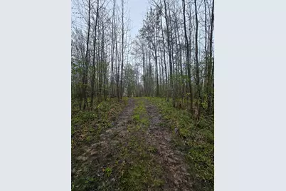 V/L M 115, Marion, MI 49665 - Photo 20