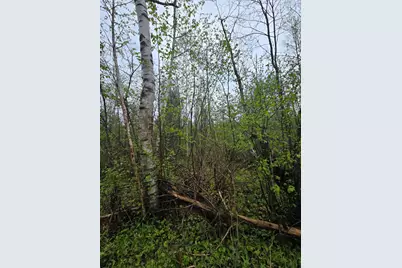 V/L M 115, Marion, MI 49665 - Photo 36