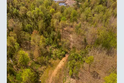 V/L M 115, Marion, MI 49665 - Photo 12