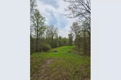 V/L M 115, Marion, MI 49665 - Photo 40