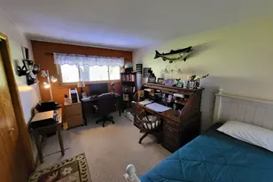 6039 Mick Rd, Benzonia, MI 49616 - Photo 14