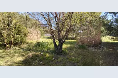 52821 County Road 657, Paw Paw, MI 49079 - Photo 26