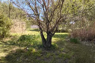 52821 Co Rd 657, Paw Paw, MI 49079 - Photo 26